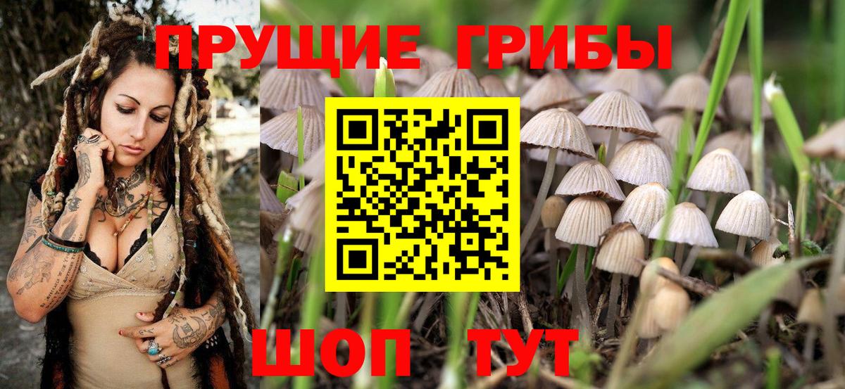 Новоалтайск  Псилоцибиновые грибы прущие грибы  Вход с VPN 