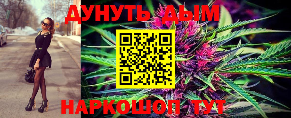 Бошки Шишки марихуана Новоалтайск